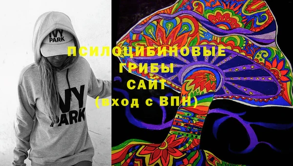 трава Абаза