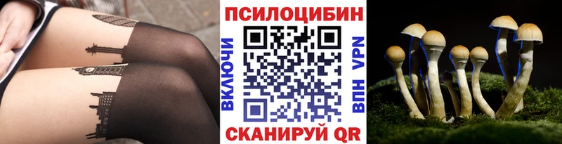 Псилоцибиновые грибы Psilocybine cubensis Хадыженск